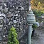 Flynns Of