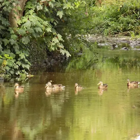 Flynns Of Boutique 3*